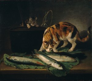 katter og fisk