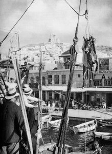 Forsendelse av muldyr, Syros Island, Hellas, 1937. av Martin Hurlimann