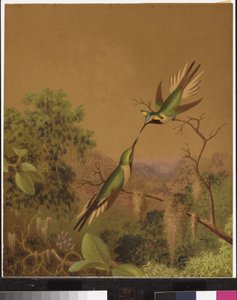 Brasilianske kolibrier IV av Martin Johnson Heade