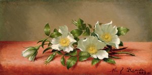 Cherokee Roses, 1889 av Martin Johnson Heade