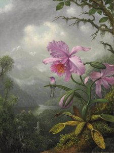  av Martin Johnson Heade