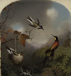 Hummingbirds: Two Sungems and a Crimson Topaz, 1866 av Martin Johnson Heade