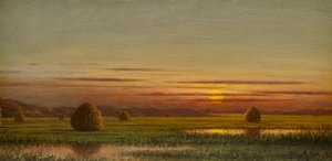 Myrland av Martin Johnson Heade