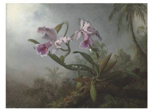 Rosa orkideer og kolibri på en kvist, 1875 av Martin Johnson Heade