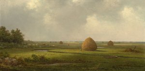 Utsikt over Marshfield av Martin Johnson Heade