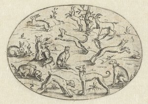 Oval med hunder, geiter og kaniner Nev Thier Bvechlein (serietittel) av Martin Pleginck