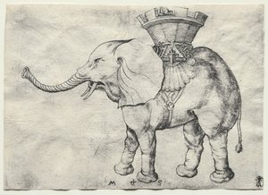 En elefant med Howdah av Martin Schongauer