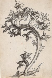 Bladpynt fra en tistel av Martin Schongauer
