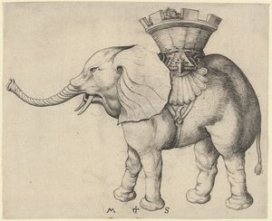 Elefant av Martin Schongauer