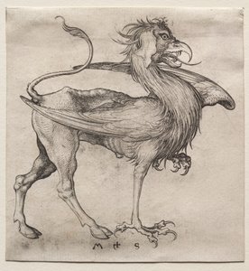 Griffinen av Martin Schongauer