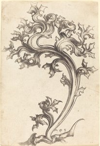 Tistel Ornament av Martin Schongauer