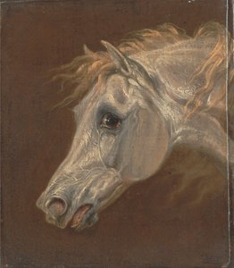 Hodet til en grå arabisk hest av Martin Theodore Ward