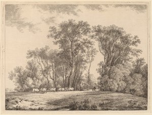 En eng med storfe på kanten av en skog