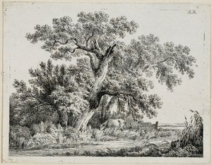 landskap