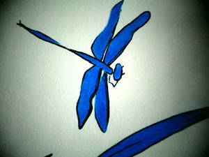 øyenstikker (detalj) av Martina Konitzky