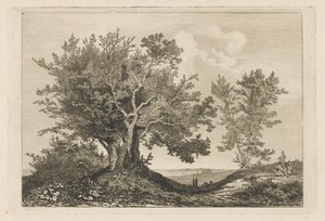Landevei mellom de to trærne av Martinus Antonius Kuytenbrouwer jr.