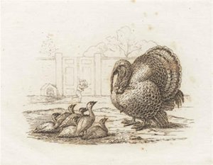 Illustrasjon til "Halv hundre fabler for barn" av Hey av Martinus Rørbye