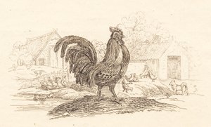 Illustrasjon til "Halv hundre fabler for barn" av Hey av Martinus Rørbye