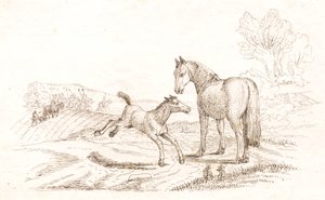 Illustrasjon til "Halv hundre fabler for barn" av Hey av Martinus Rørbye