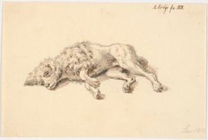 Liggende puddelhund av Martinus Rørbye