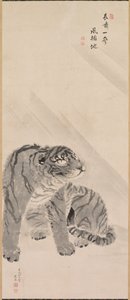 Tiger i vind og regn