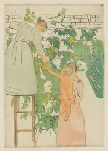 Innsamling av frukt, ca. 1893. av Mary Cassatt
