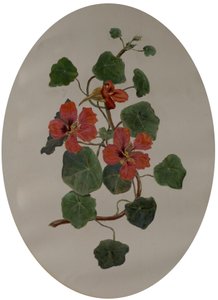 Nasturtiums, ca. 1870 (olje på papir) av Mary Dakeyne Townroe