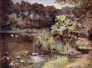 Scottish Gardens: Culzean (farge litho)