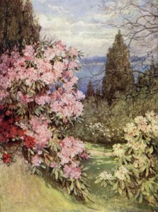 Scottish Gardens: Stonefield