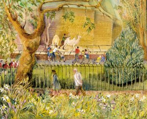 London Zoo, Camels, 2003 (olje om bord) av Mary Kuper