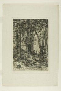 En California-skog