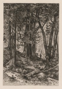 Interiør i en California-skog etter Thomas Moran American, 1837-1926, 1888.