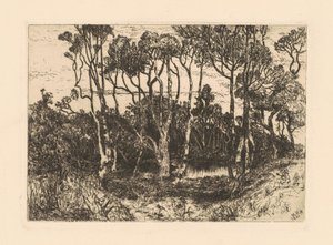 Ensomhet av Mary Nimmo Moran