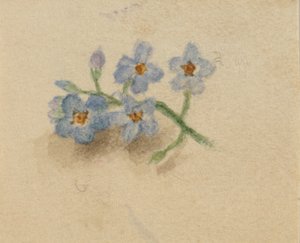  av Mary Vaux Walcott