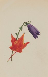  av Mary Vaux Walcott