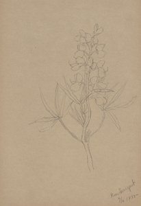  av Mary Vaux Walcott