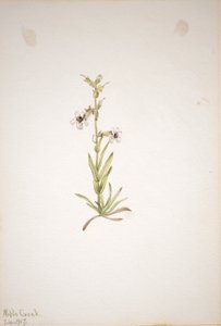  av Mary Vaux Walcott