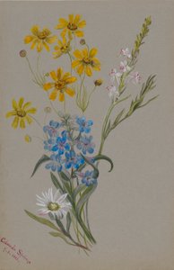  av Mary Vaux Walcott