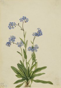  av Mary Vaux Walcott