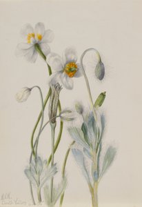  av Mary Vaux Walcott