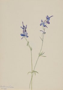  av Mary Vaux Walcott
