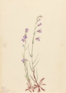  av Mary Vaux Walcott