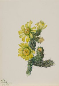  av Mary Vaux Walcott