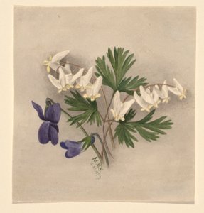  av Mary Vaux Walcott