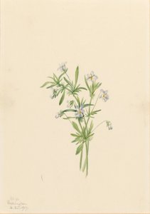  av Mary Vaux Walcott