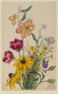  av Mary Vaux Walcott
