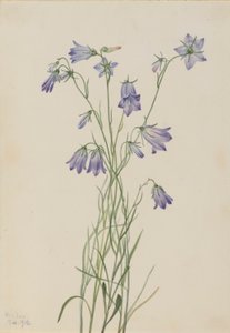  av Mary Vaux Walcott
