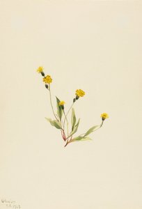  av Mary Vaux Walcott