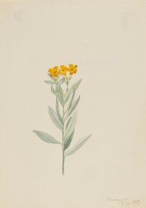  av Mary Vaux Walcott