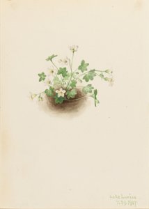  av Mary Vaux Walcott